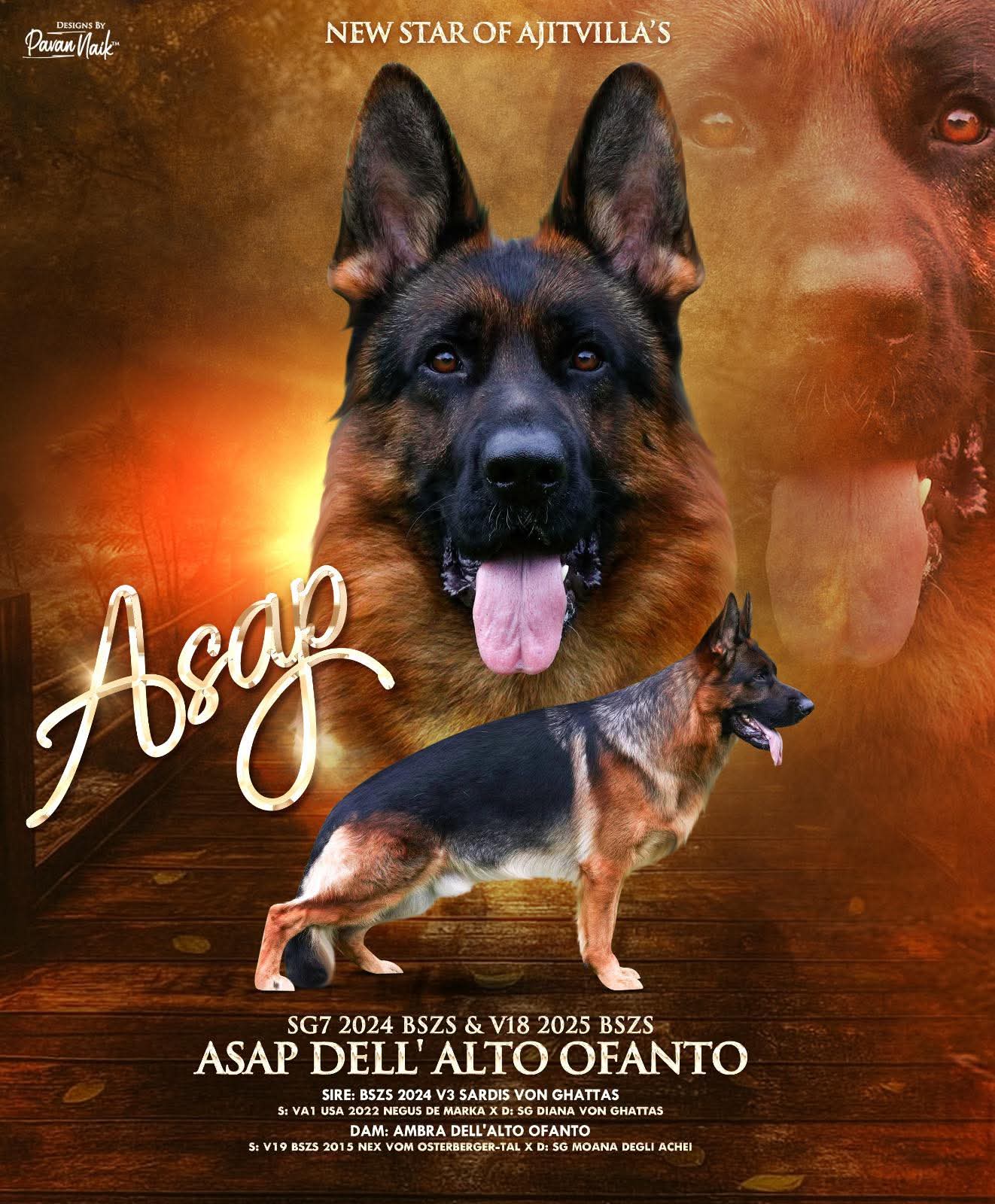 ASAP DELL’ALTO OFANTO