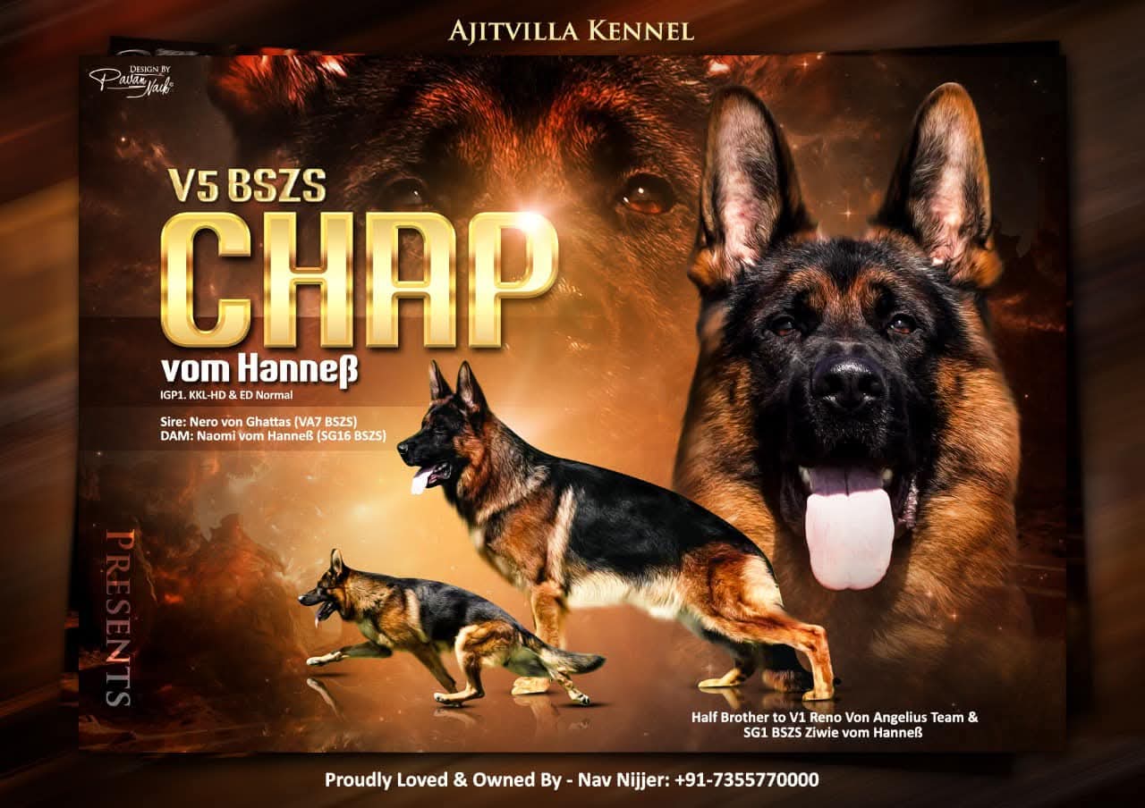 CHAP VON HANNEß