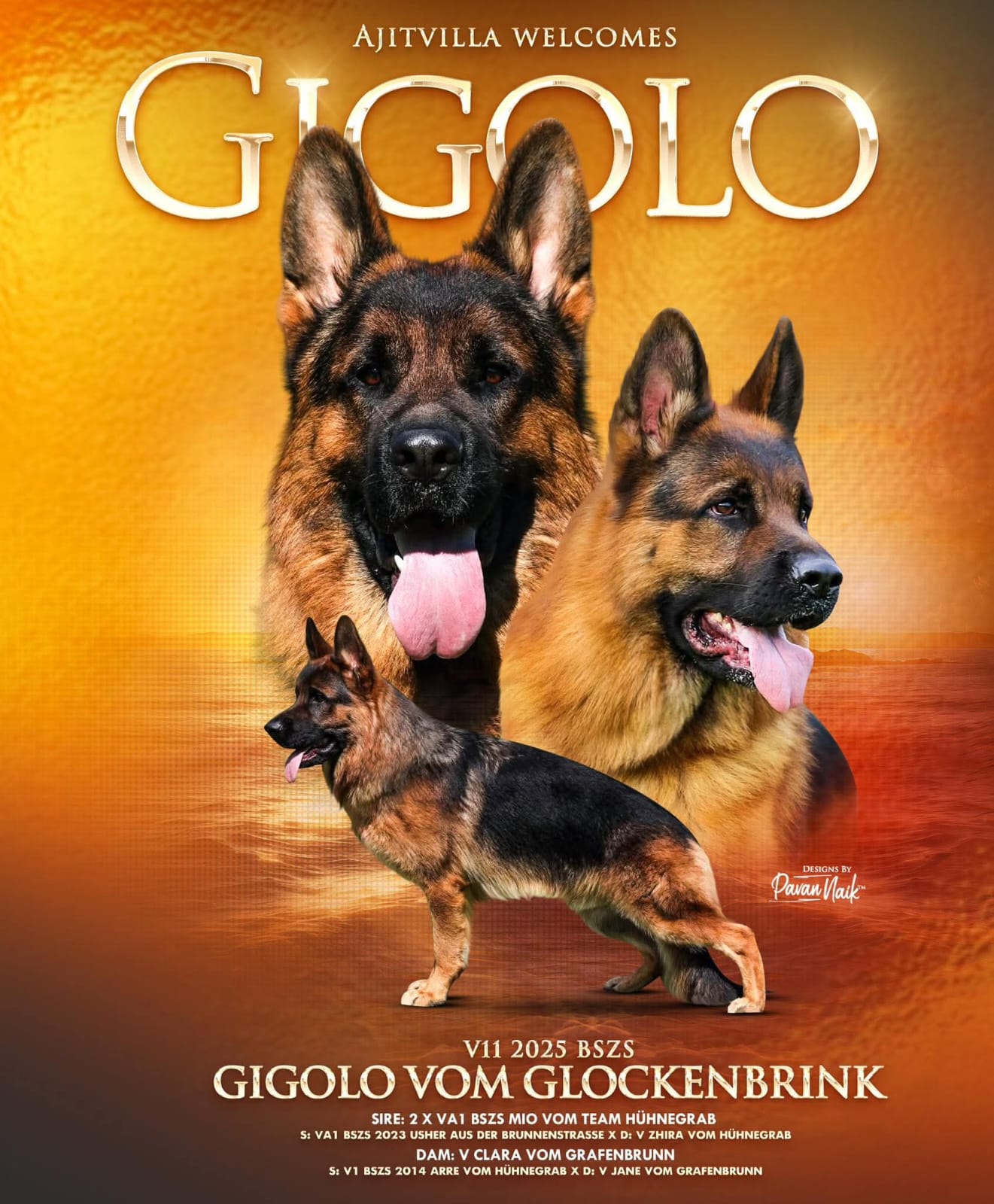 GIGOLO VOM GLOCKENBRINK