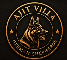 Ajit Villa Logo